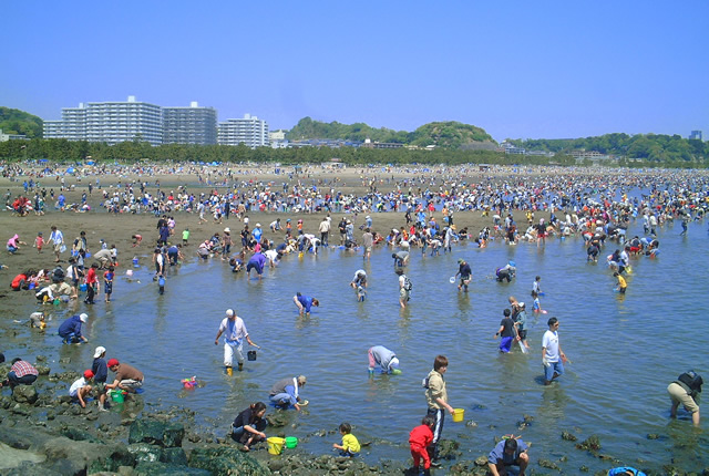 無料潮干狩り：海の公園